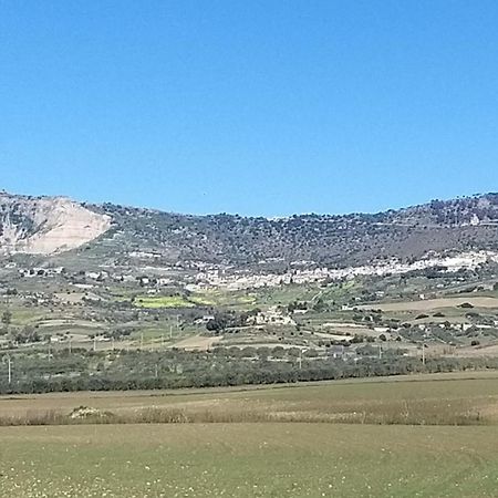 Belvedere Appartamento Per Vacanze Castel di Iudica Εξωτερικό φωτογραφία